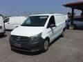 Renault Trafic 1.6 cdi maxi con 3 posti  FURGONE DI SERIE Bianco - thumbnail 2