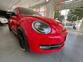 Volkswagen Beetle 2.0 TSI Sport DSG Rojo - thumbnail 5