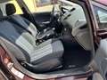 Ford Fiesta 5p 1.4 16v Titanium Gpl - thumbnail 10