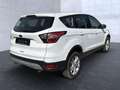Ford Kuga Titanium Bluetooth Navi Klima Einparkhilfe Blanc - thumbnail 4