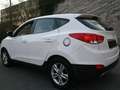 Hyundai iX35 **Wasserstoff Antrieb/Elektro Antrieb** White - thumbnail 5
