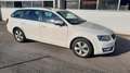 Skoda Octavia Combi 2,0 Twenty TDI PD DPF Rot - thumbnail 3