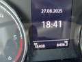 Volkswagen T6.1 Multivan Multivan Trendline 4MOTION Gris - thumbnail 13