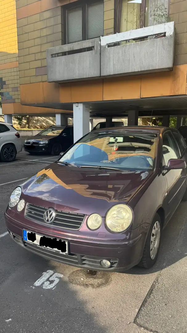 Volkswagen Polo 9N || 1.4 16V || 8-fach bereift - 2