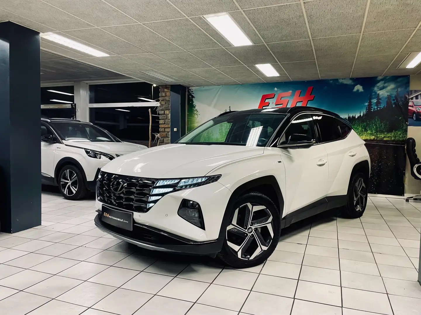 Hyundai TUCSON Tucson 1.6 CRDi MHEV/LED/MEMOIRE//GARANTIE12 MOIS - 1