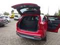 Kia Sorento 194PS Autm. Platinum 4WD 7-Sitze Rot - thumbnail 11