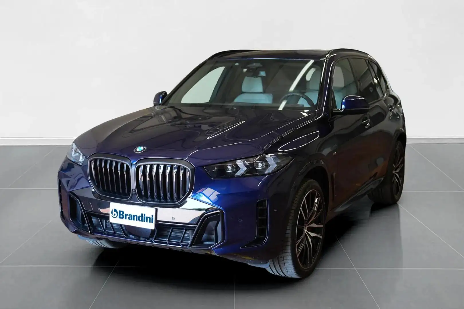 BMW X5 xdrive30d auto Blu/Azzurro - 1