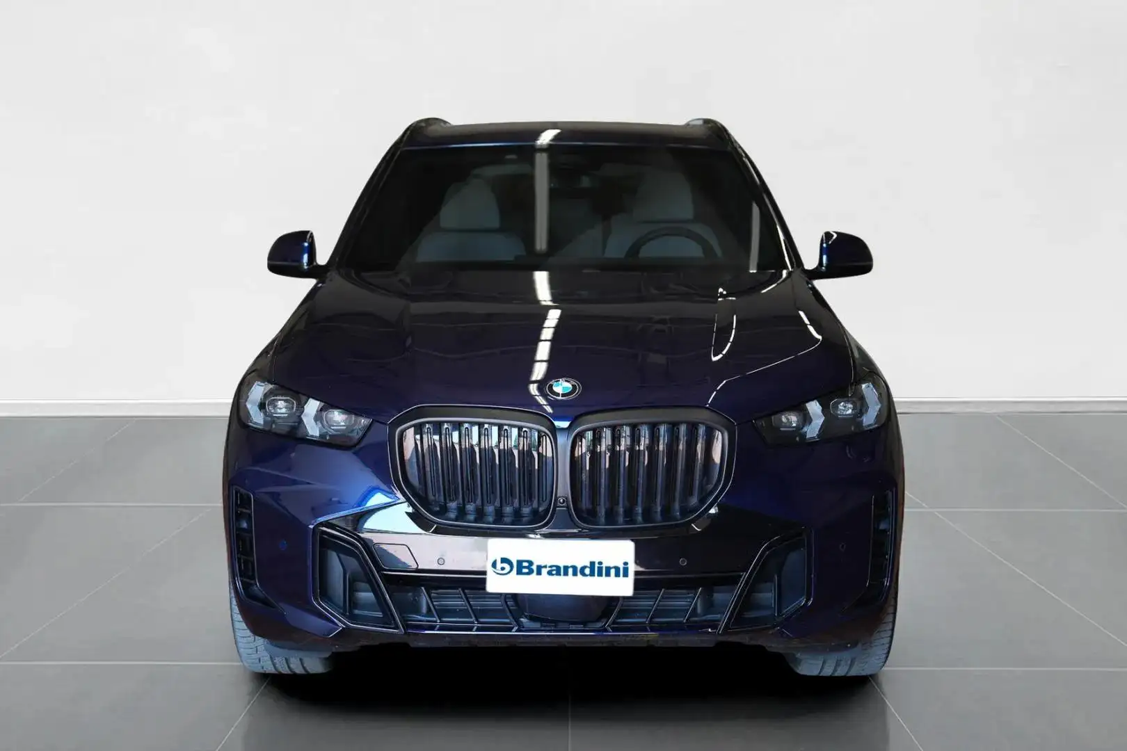 BMW X5 xdrive30d auto Blu/Azzurro - 2
