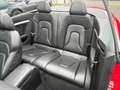 Audi A5 Cabriolet 3.0 TDI quattro S-Line MMI~RFK~B&O Rot - thumbnail 15