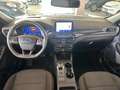 Ford Kuga 2.0 EcoBlue 120 CV aut. 2WD ST-Line Blu/Azzurro - thumbnail 14