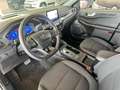 Ford Kuga 2.0 EcoBlue 120 CV aut. 2WD ST-Line Blu/Azzurro - thumbnail 11