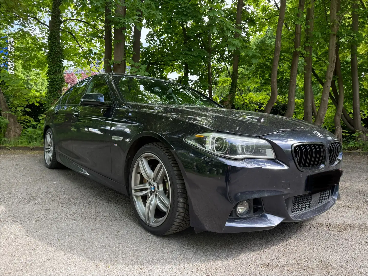 BMW 550 i xDrive M-Sportpaket-Aut. Harman Kardon HUD LED Bleu - 1