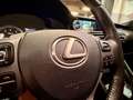 Lexus RC 300h 300H 2.5i HYBRID EXECUTIVE Rot - thumbnail 34