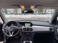 Mercedes-Benz GLK 220 GLK 220 CDI BlueEfficiency 4Matic *Originale KM* Schwarz - thumbnail 14