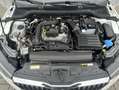 Skoda Scala 1.0 TSI Cool Plus CarPlay LED Sitzh PDC Blanc - thumbnail 15
