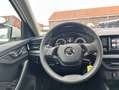 Skoda Scala 1.0 TSI Cool Plus CarPlay LED Sitzh PDC Blanc - thumbnail 9