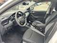 Skoda Scala 1.0 TSI Cool Plus CarPlay LED Sitzh PDC Blanc - thumbnail 20