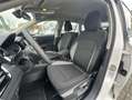Skoda Scala 1.0 TSI Cool Plus CarPlay LED Sitzh PDC Blanc - thumbnail 11