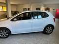 Volkswagen Polo Polo V 2009 5p 1.2 tsi Highline 105cv dsg Weiß - thumbnail 6