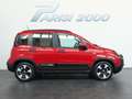 Fiat Panda 1.0 FireFly S&S Hybrid Pandina Rosso - thumbnail 6