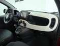 Fiat Panda 1.0 FireFly S&S Hybrid Pandina Rosso - thumbnail 12