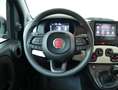 Fiat Panda 1.0 FireFly S&S Hybrid Pandina Rosso - thumbnail 14
