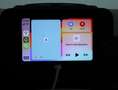 Fiat Panda 1.0 FireFly S&S Hybrid Pandina Rosso - thumbnail 15
