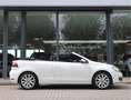Volkswagen Golf Cabriolet 1.2 TSI BlueMotion / NL Auto Blanc - thumbnail 14