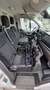 Ford Transit Custom Transit Custom Kasten 2,0 TDCi L2H1 300 Limited Aut. Limited Weiß - thumbnail 12