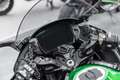 Kawasaki Ninja H2 SX SE Tourer, 4 JAHRE WERKSGARANTIE Grün - thumbnail 14