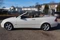 Mercedes-Benz CLK 200 K *AVANTGARDE*LEDER BRAUN*Keyless Go Weiß - thumbnail 11