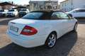 Mercedes-Benz CLK 200 K *AVANTGARDE*LEDER BRAUN*Keyless Go Weiß - thumbnail 21