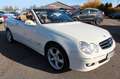 Mercedes-Benz CLK 200 K *AVANTGARDE*LEDER BRAUN*Keyless Go Weiß - thumbnail 5