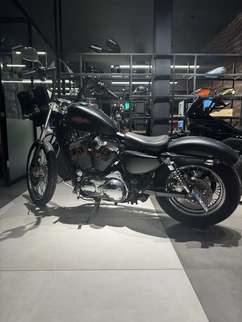 Harley-Davidson Sportster 1200 Seventy Two - 2