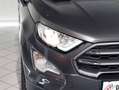 Ford EcoSport Titanium AWD Grau - thumbnail 7