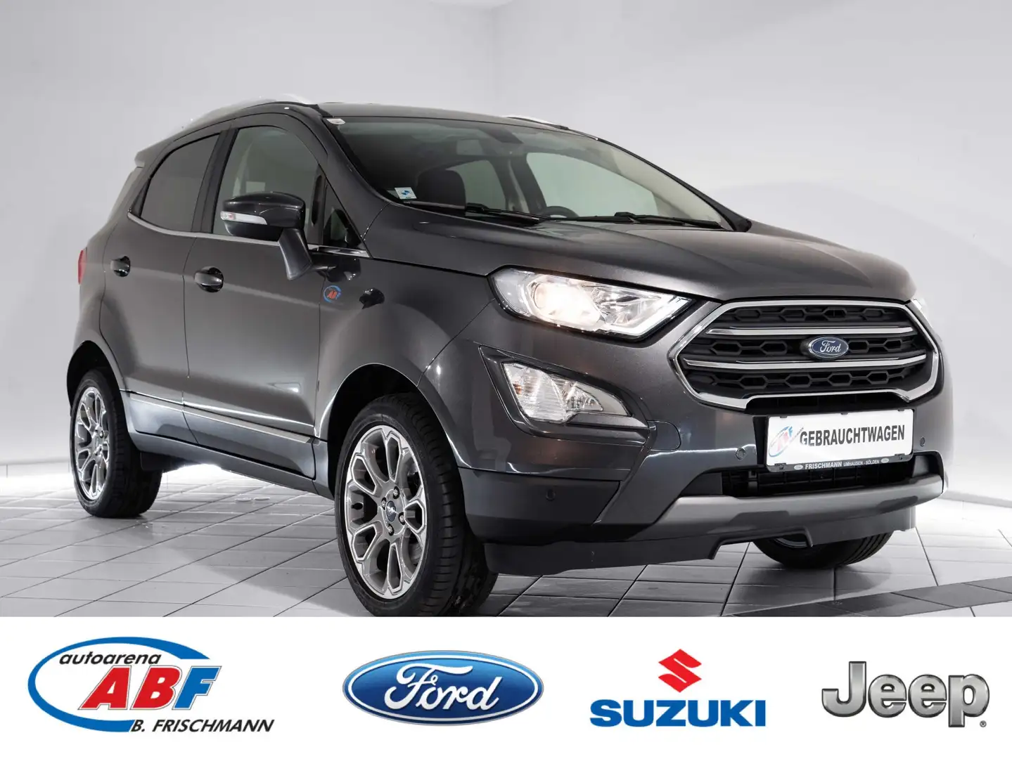Ford EcoSport Titanium AWD Grau - 1