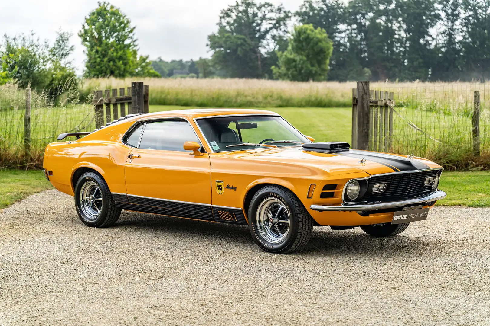 Ford Mustang Mach 1 - European Delivery / Manual Gearbox Оранжевий - 2