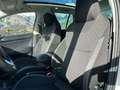 Skoda Rapid/Spaceback 1,2 TSI Sport Weiß - thumbnail 13