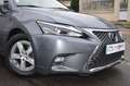 Lexus CT 200h 200H BUSINESS EUROD-T Gris - thumbnail 7