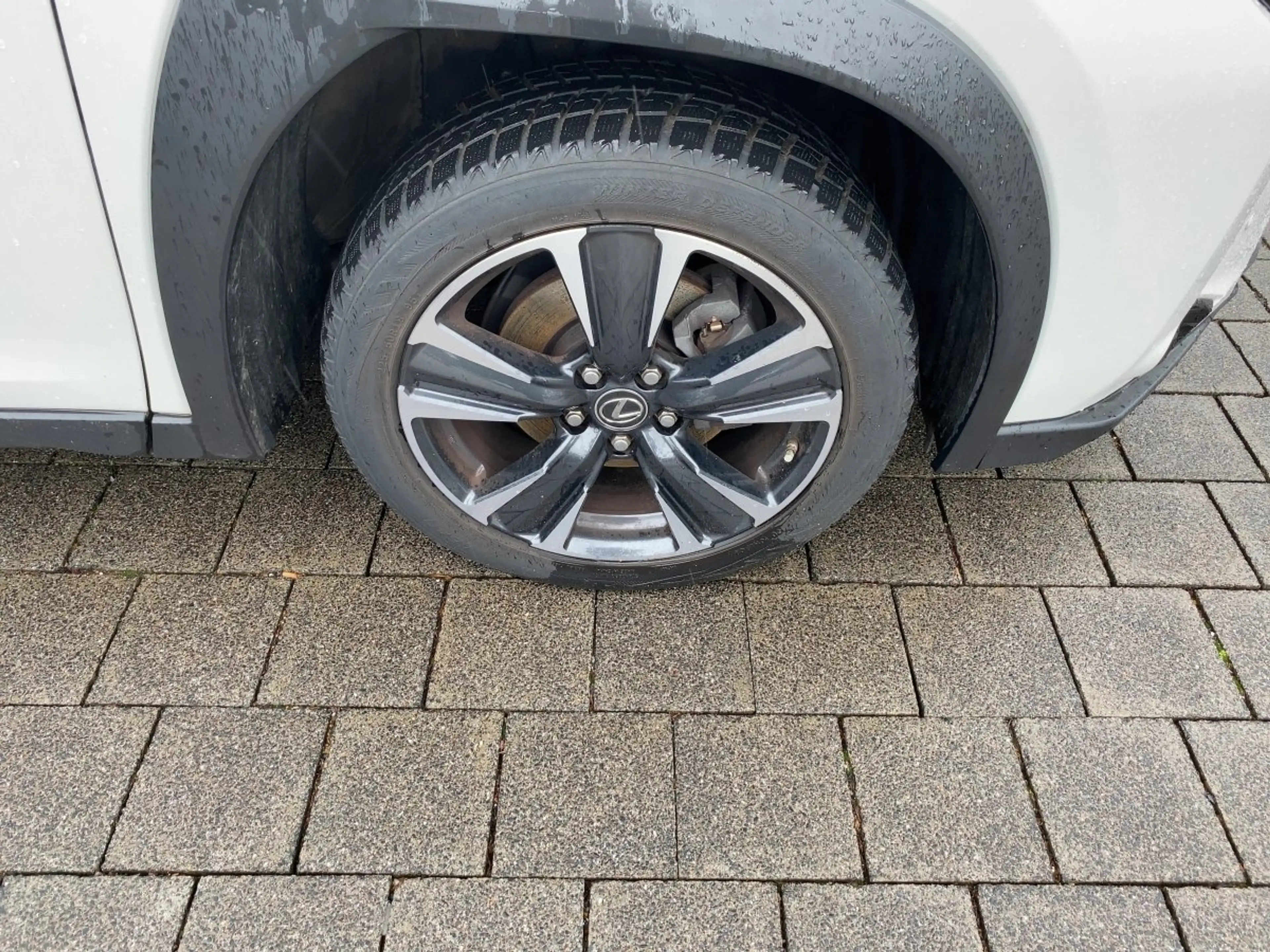 Lexus UX 250h UX 250 h Style Edition guter Crossover — photo 9