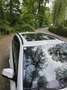 BMW 530 530d Touring Aut. Weiß - thumbnail 6