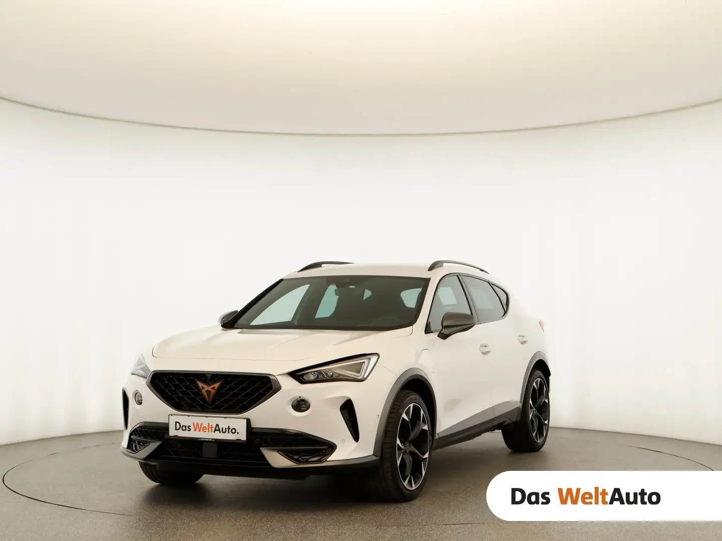 CUPRA Formentor TRIBE e-HYBRID 204 PS DSG Weiß - 1