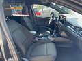 Ford Focus ST-Line X 1.0L EcoBoost 155PS  inkl. WKR Grau - thumbnail 9