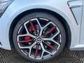 Renault Megane Mégane IV 1.8 TCe - 300 cv - BV EDC - R.S. Trophy Gris - thumbnail 21