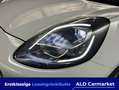 Ford Puma 1.0 EcoBoost COOL & CONNECT Geschlossen, 5-türig, Wit - thumbnail 5