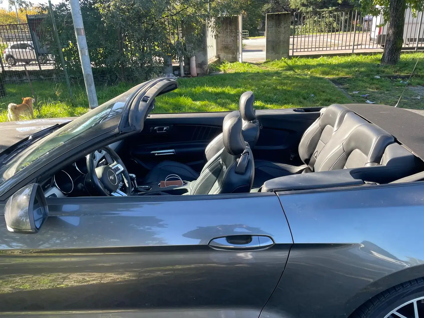 Ford Mustang Mustang 2,3 EcoBoost Cabrio Aut. Grau - 2