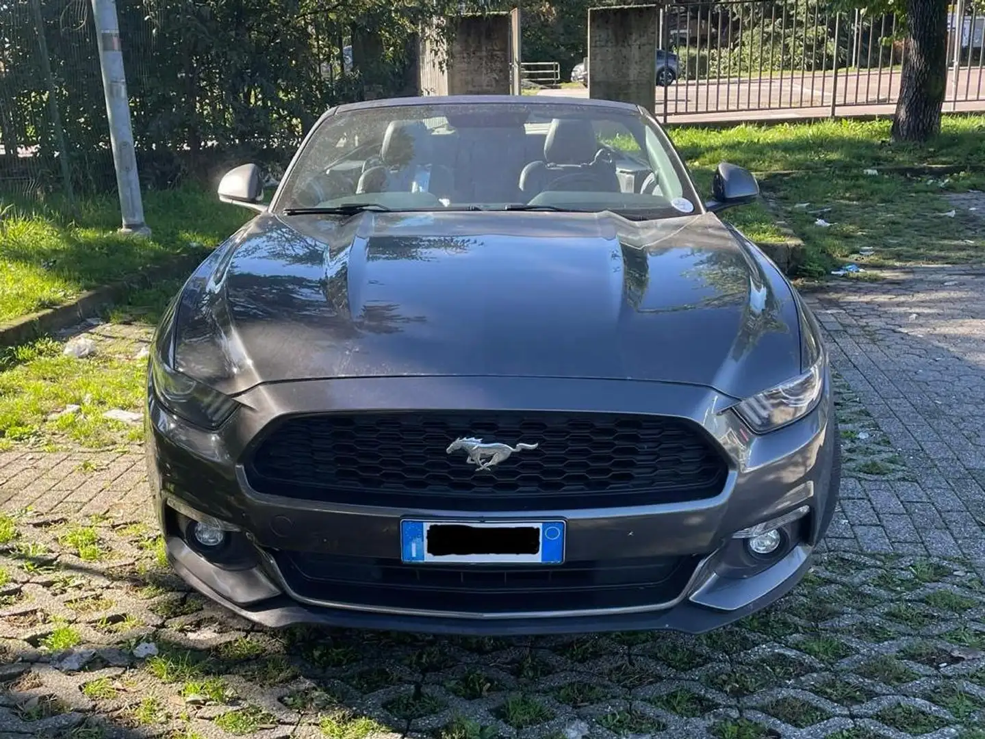 Ford Mustang Mustang 2,3 EcoBoost Cabrio Aut. Grau - 1