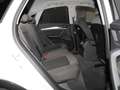 Audi Q5 Sportback 40 TFSI quattro Advanced Navi+ LED Bu... Weiß - thumbnail 6