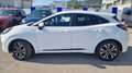 Ford Puma 1.0 ecoboost h st-line s&s 125cv Bianco - thumbnail 2