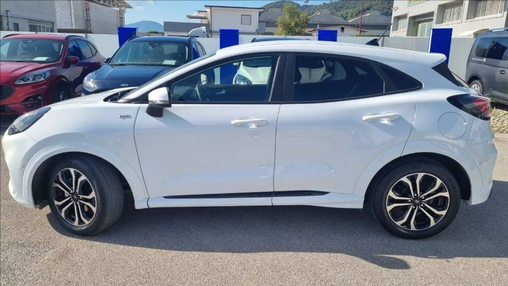 Ford Puma 1.0 ecoboost h st-line s&s 125cv Bianco - 2
